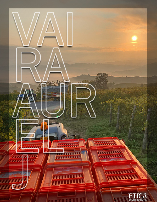 Produttori-Interna-VAIRA-AURELJ