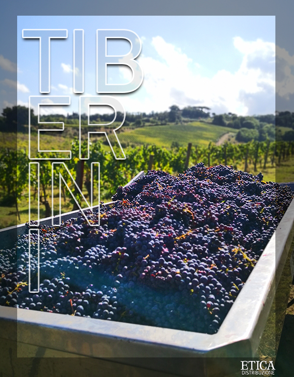 Produttori-Interna-TIBERINI