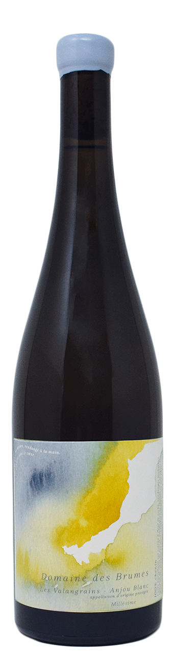 vino naturale Domaine-Des-Brumes-Les-Valangrains-Etica Distribuzione