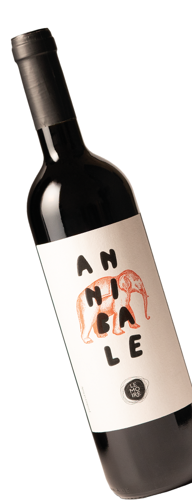 vino naturale Le Moire Annibale Etica Distribuzione