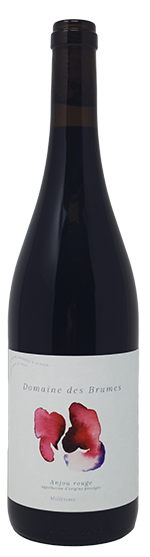 vino naturale Domaine-Des-Brumes-Anjou Rouge AOP-Etica Distribuzione