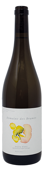 vino naturale Domaine-des-Brumes_Anjou-Blanc