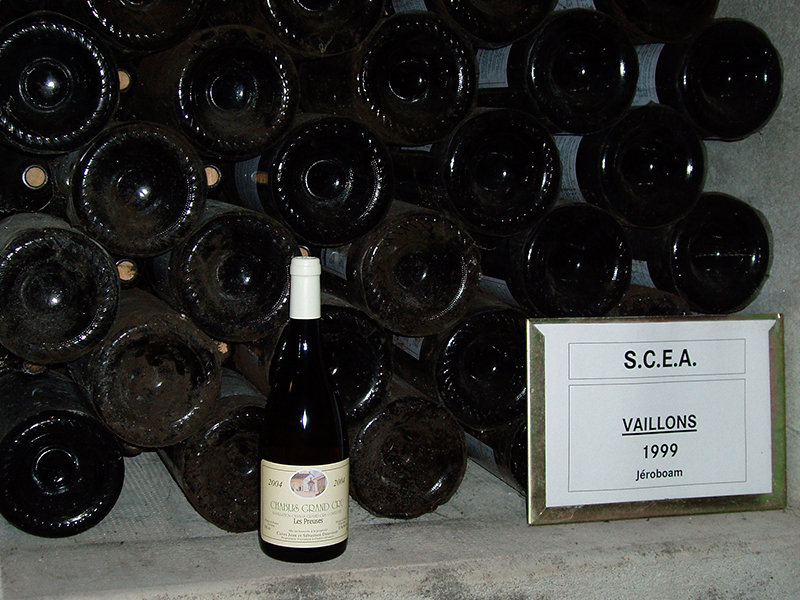 Dauvissat-vini-etica distribuzione2