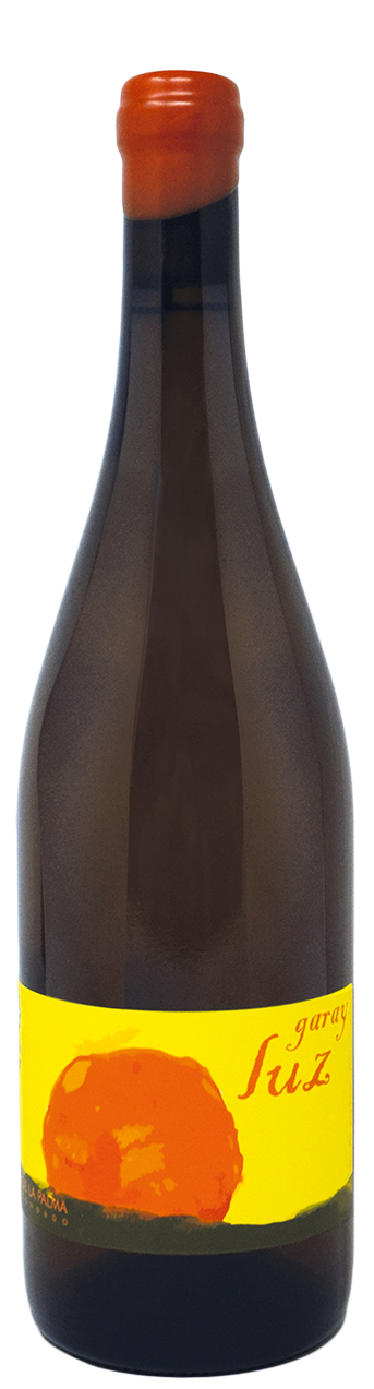 Garay-Luz-Etica Distribuzione