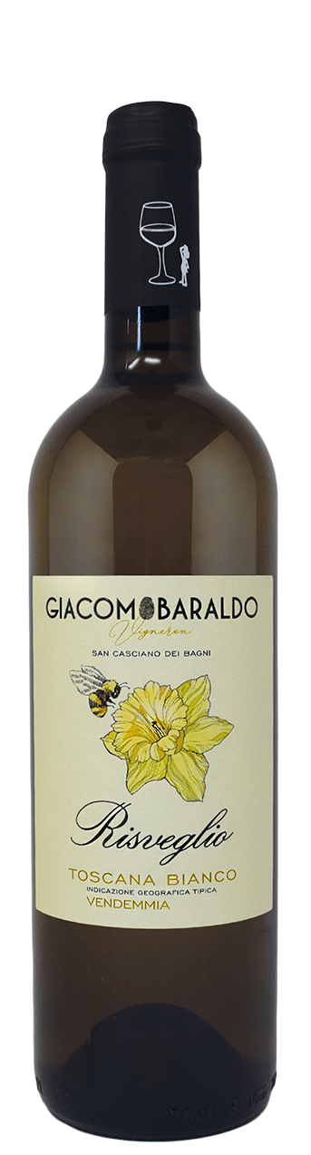 G.Baraldo, Risveglio