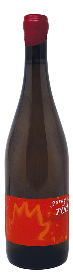 Garay-Red-Etica-Distribuzione