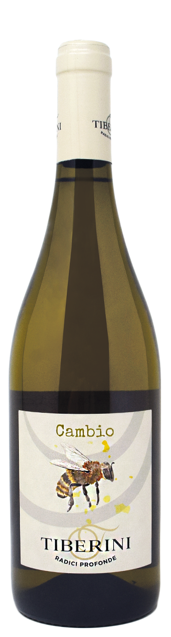 Tiberini-Cambio