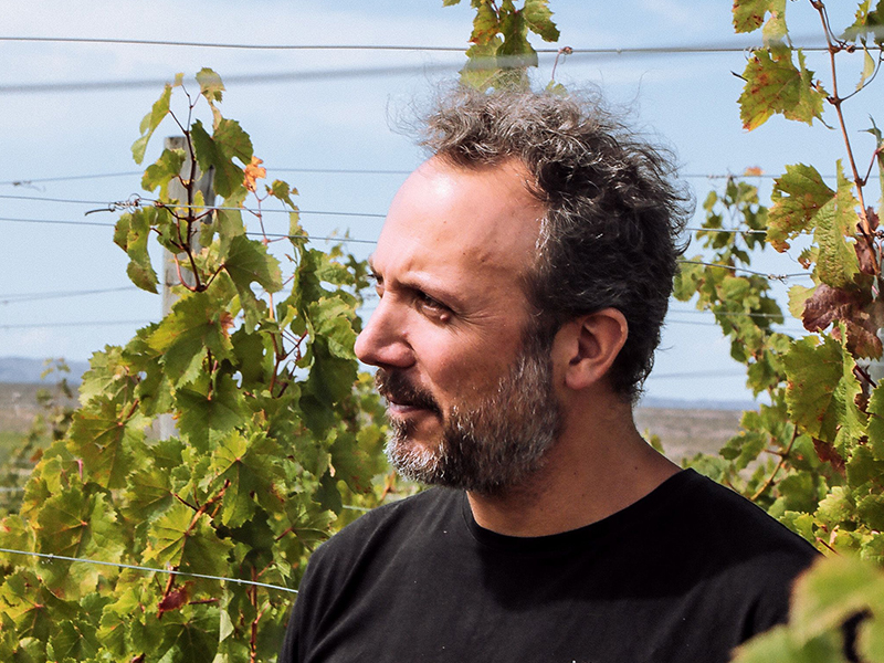 4 Gatos-portrait 2-Etica Distribuzione