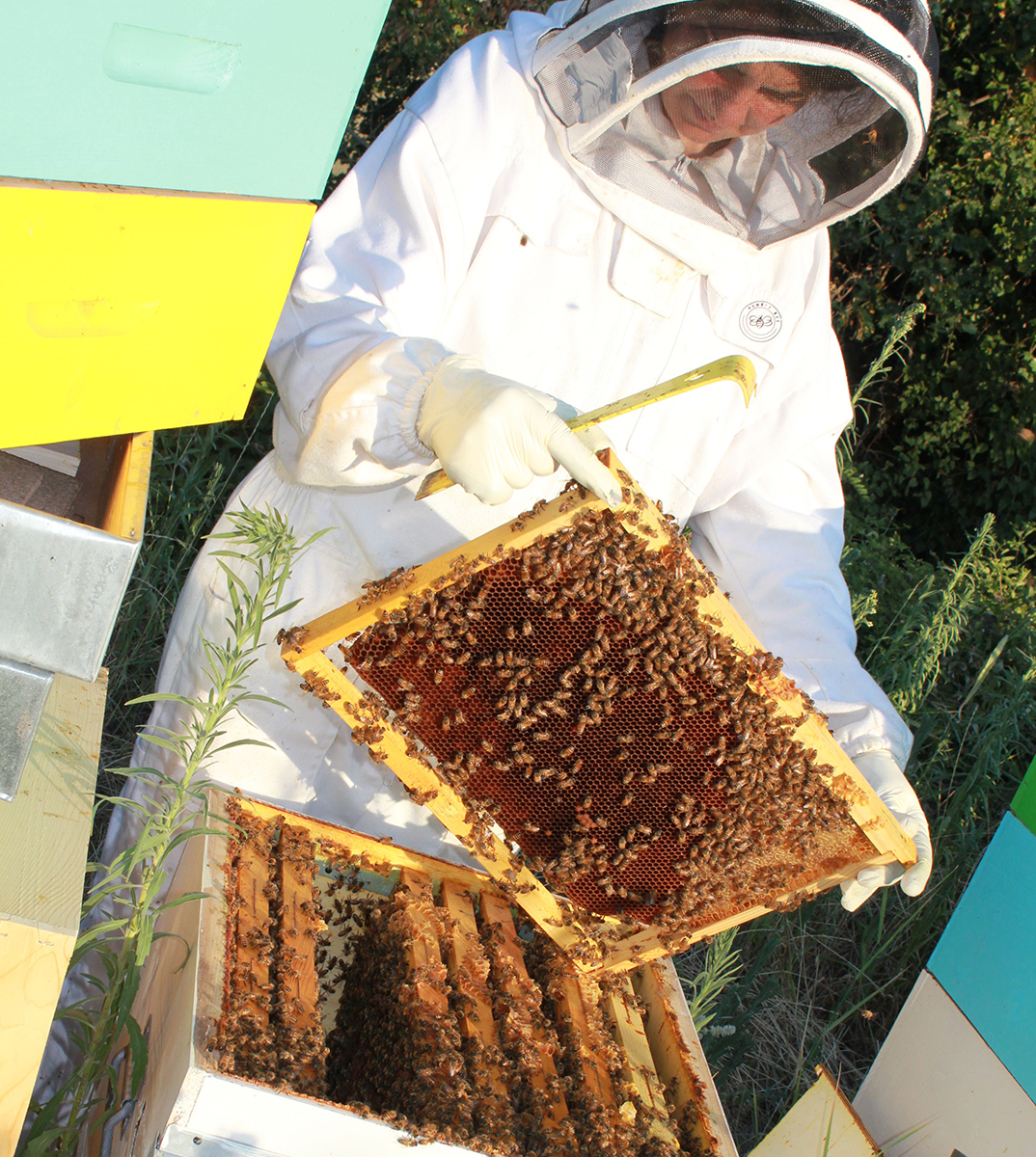 Colle Jano-photo-etica distribuzione