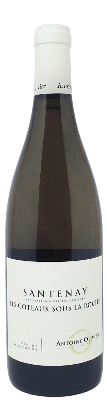 A. Olivier-Les Coteaux Sous La Roche-Etica Distribuzione