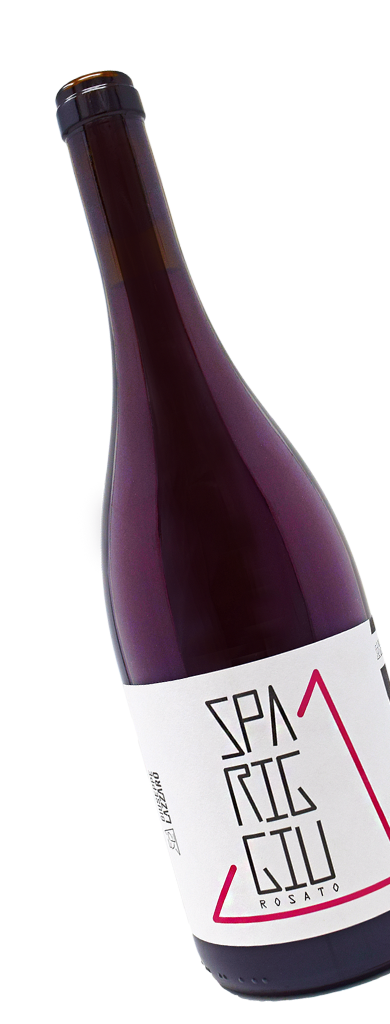 Lazzaro GIUSEPPE LAZZARO SPARIGGIU 2