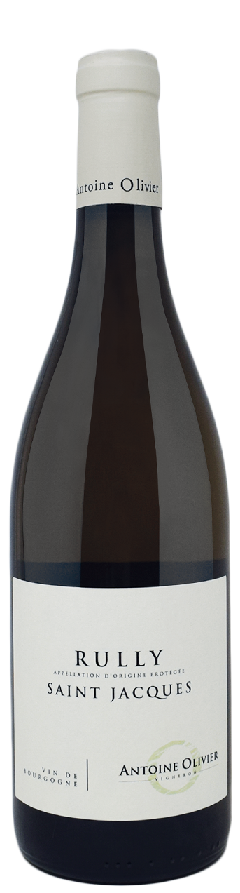 A.Olivier-Rully-Saint-Jacques-Etica Distribuzione