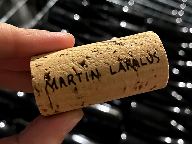Martin Lapalus 4